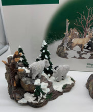 Load image into Gallery viewer, Dept 56- General Accessories &quot;Woodland Animals at Cliff&#39;s Edge&quot;
