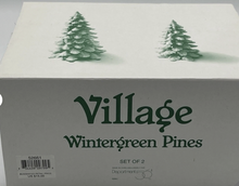 Load image into Gallery viewer, Dept 56- Village Accessories "Wintergreen Pines"
