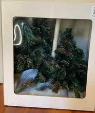 Load image into Gallery viewer, Dept 56- Village &quot;Frosted Spruce Trees&quot;
