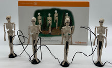 Load image into Gallery viewer, Department 56-  Halloween &quot;Skull Street Lamps&quot;
