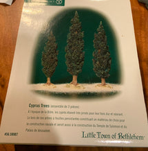 Load image into Gallery viewer, Dept 56- Little Town of Bethlehem &quot;Cypress Trees&quot; accessory
